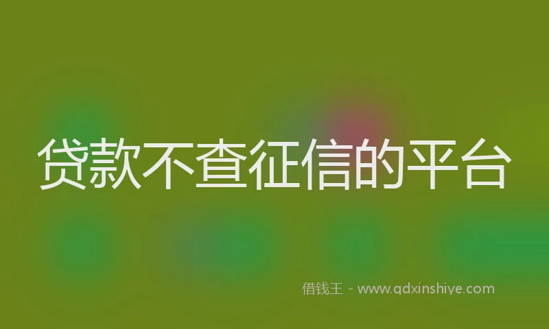 贷款不查征信的平台