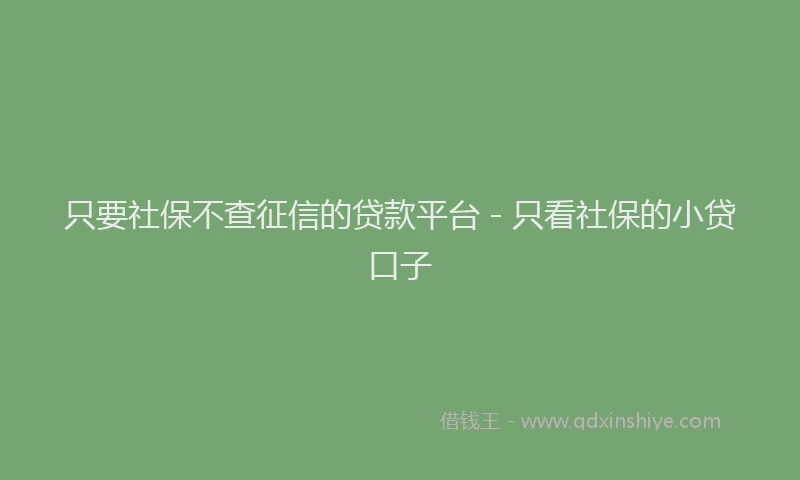 只要社保不查征信的贷款平台 - 只看社保的小贷口子