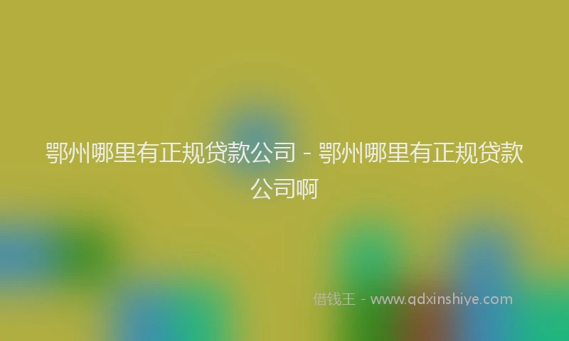 鄂州哪里有正规贷款公司 - 鄂州哪里有正规贷款公司啊