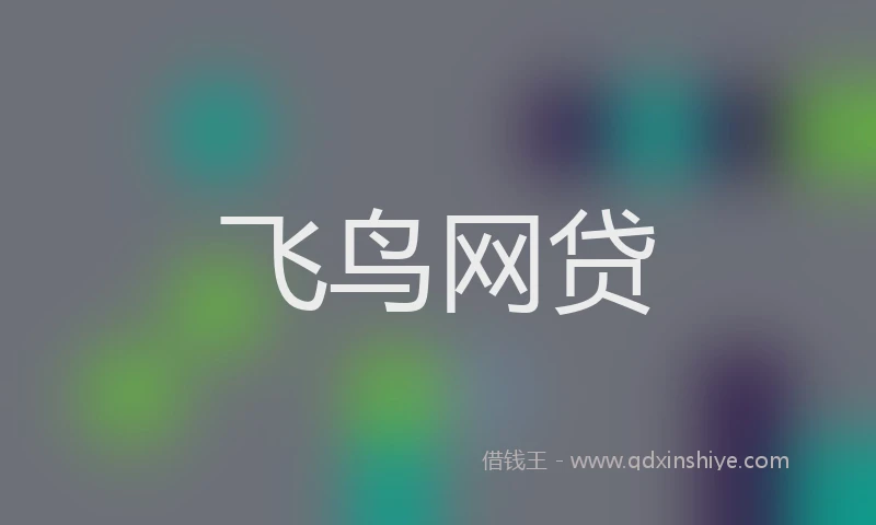飞鸟网贷