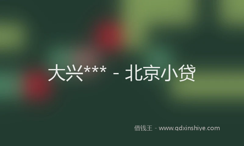 大兴*** - 北京小贷