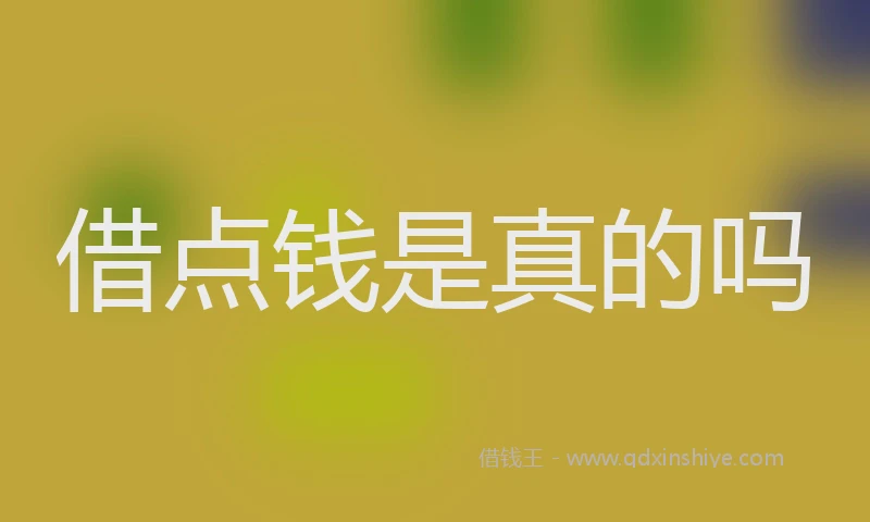 借点钱是真的吗