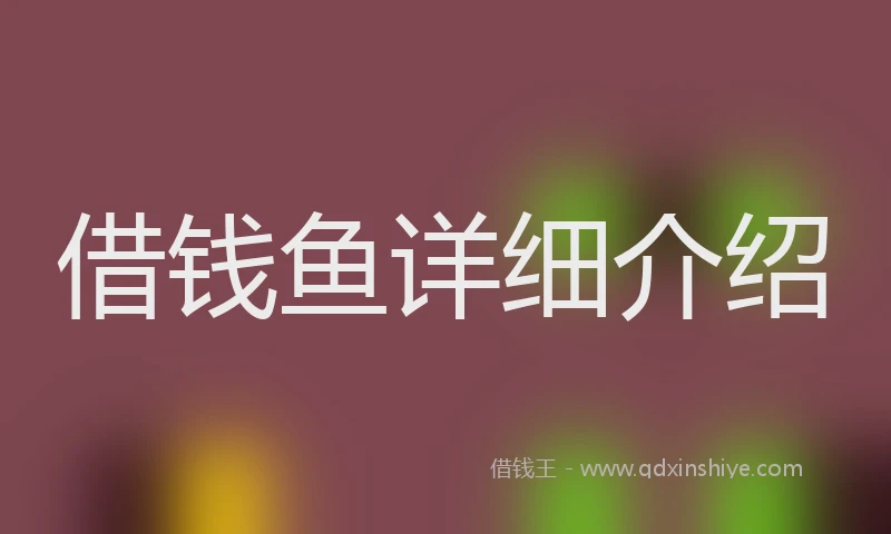 借钱鱼详细介绍