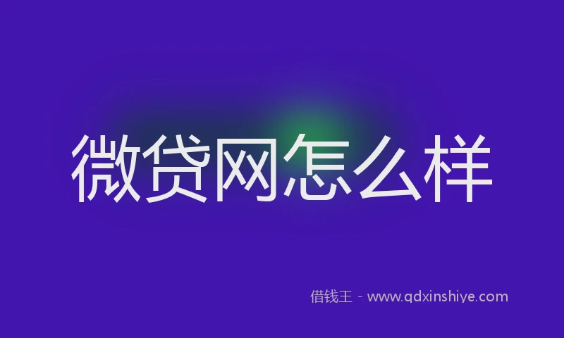 微贷网怎么样