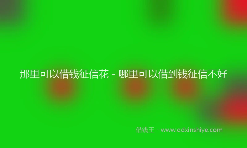 那里可以借钱征信花 - 哪里可以借到钱征信不好