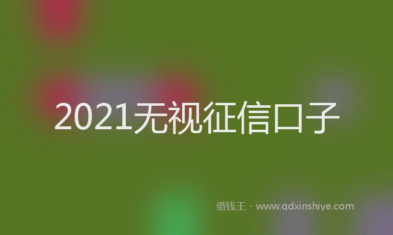 2021无视征信口子