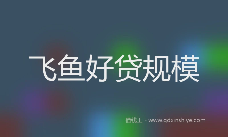 飞鱼好贷规模