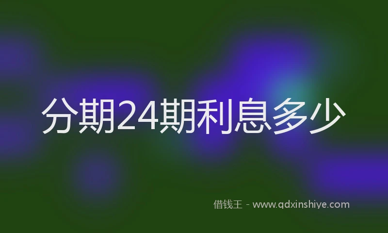 分期24期利息多少