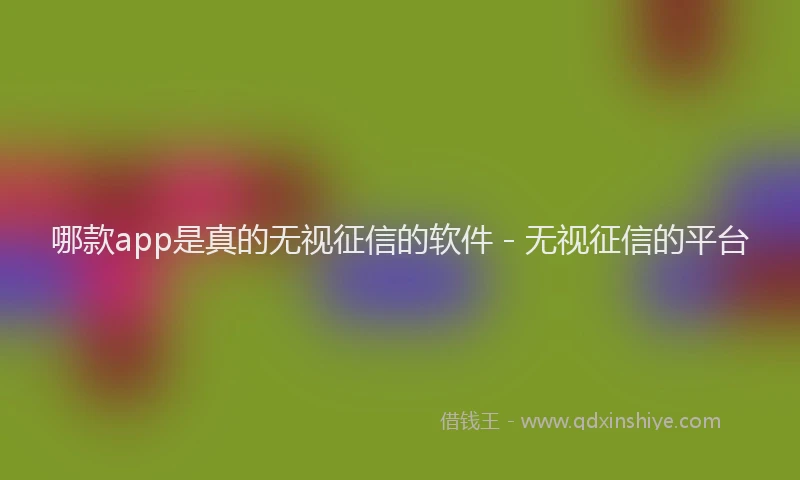 哪款app是真的无视征信的软件 - 无视征信的平台
