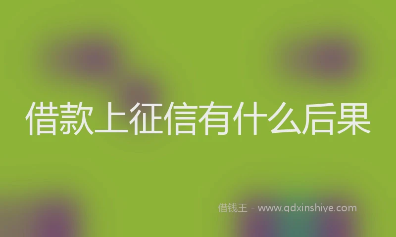 借款上征信有什么后果