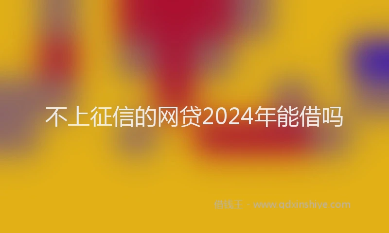 不上征信的网贷2024年能借吗