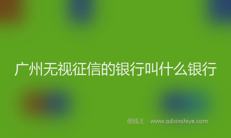 广州无视征信的银行叫什么银行