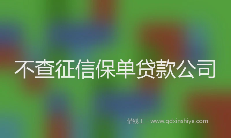 不查征信保单贷款公司
