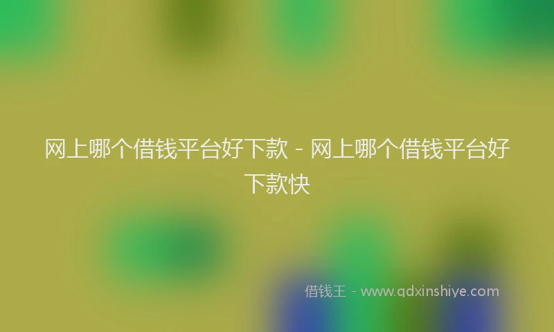 网上哪个借钱平台好下款 - 网上哪个借钱平台好下款快