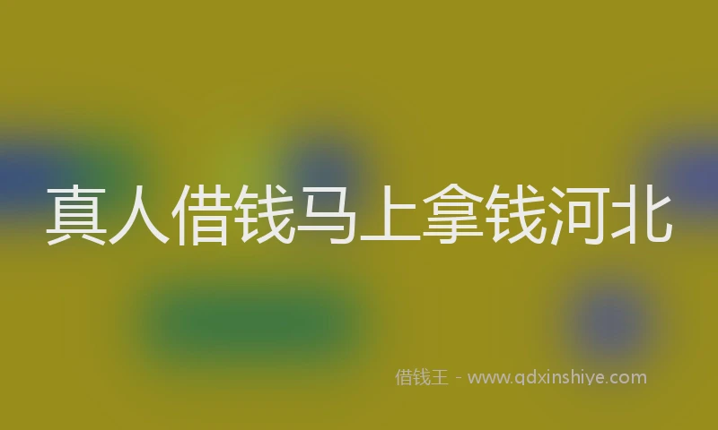 真人借钱马上拿钱河北