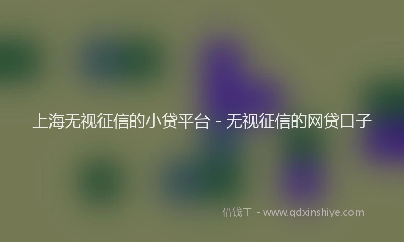 上海无视征信的小贷平台 - 无视征信的网贷口子