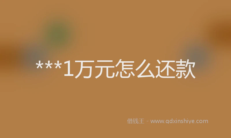 ***1万元怎么还款