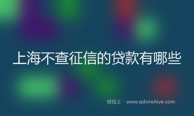 上海不查征信的贷款有哪些