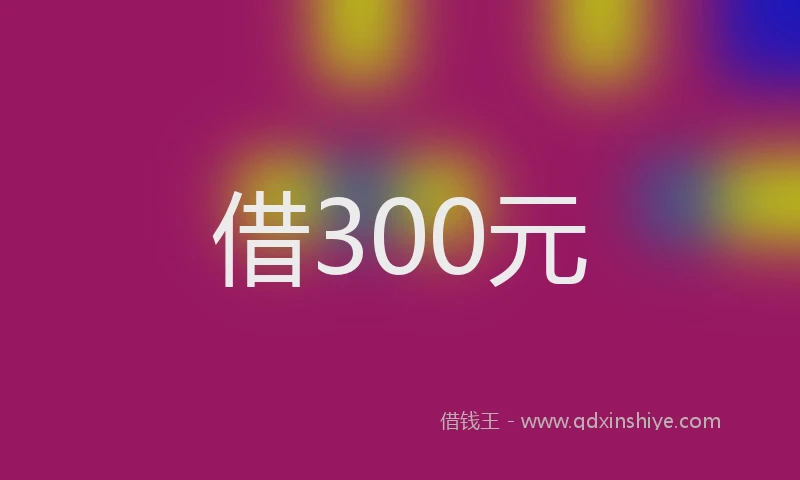 借300元