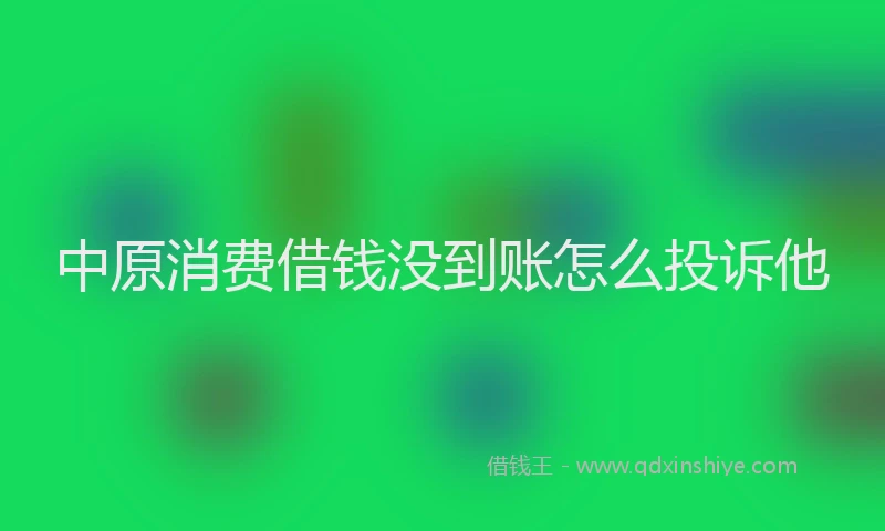 中原消费借钱没到账怎么投诉他