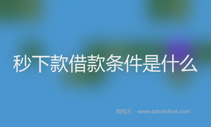 秒下款借款条件是什么