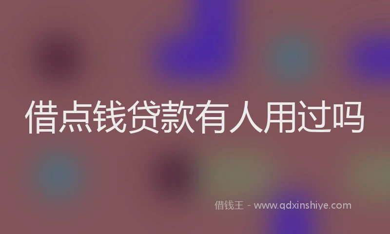 借点钱贷款有人用过吗