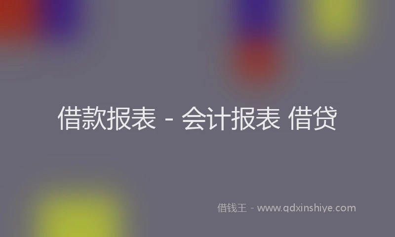 借款报表 - 会计报表 借贷