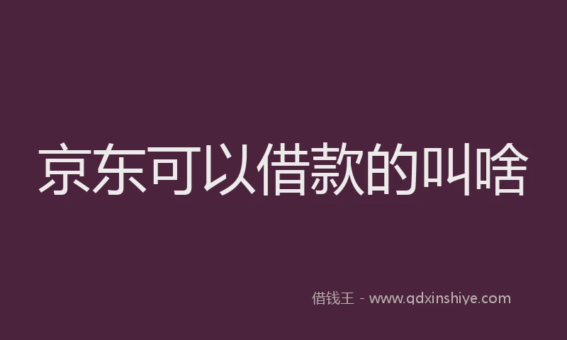 京东可以借款的叫啥