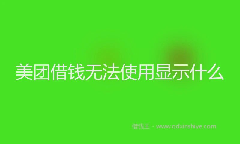 美团借钱无法使用显示什么