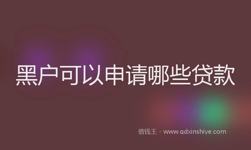 黑户可以申请哪些贷款