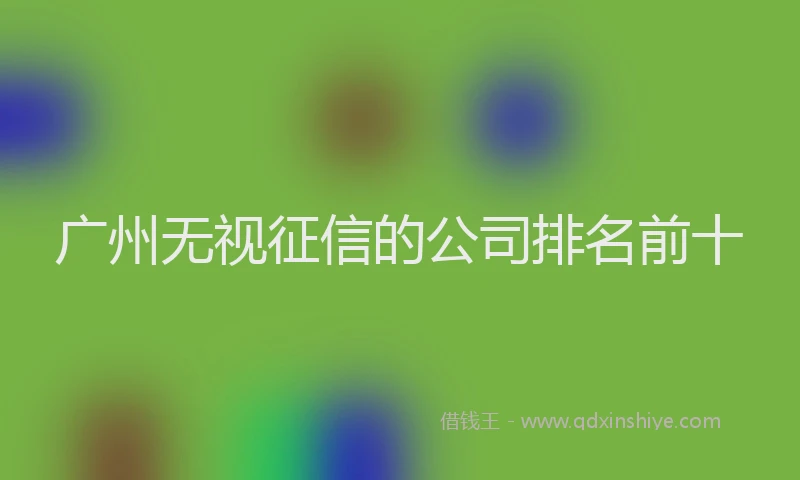 广州无视征信的公司排名前十