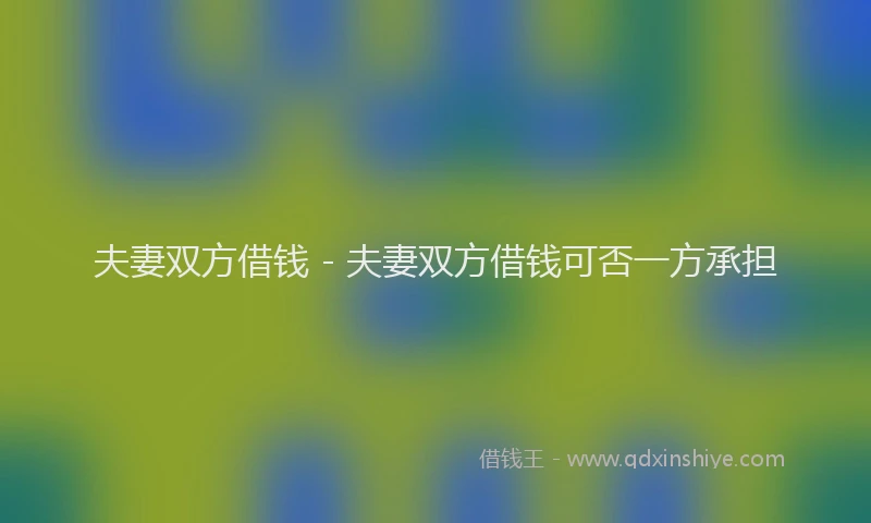夫妻双方借钱 - 夫妻双方借钱可否一方承担