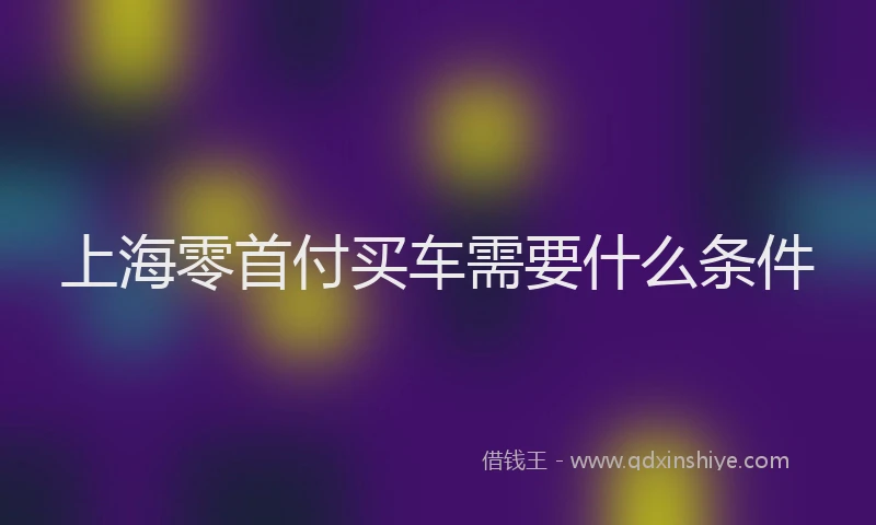 上海零首付买车需要什么条件