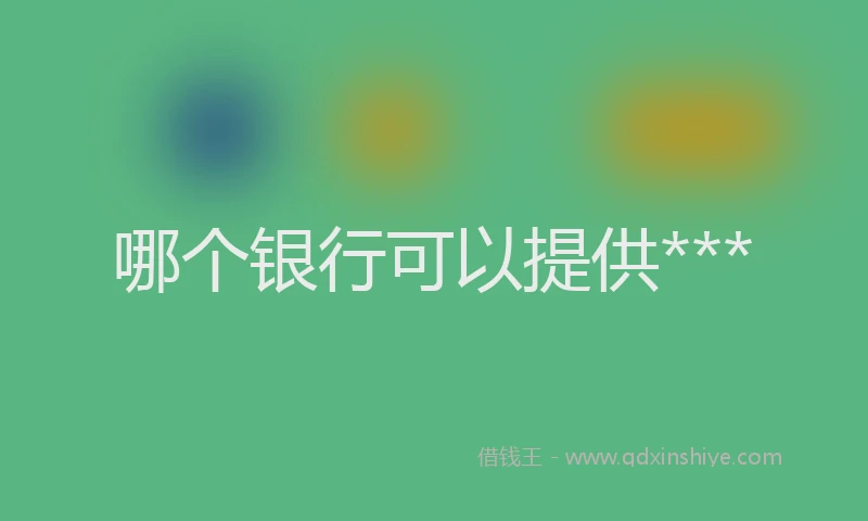 哪个银行可以提供***