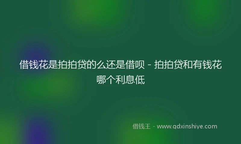 借钱花是拍拍贷的么还是借呗 - 拍拍贷和有钱花哪个利息低