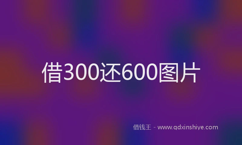 借300还600图片