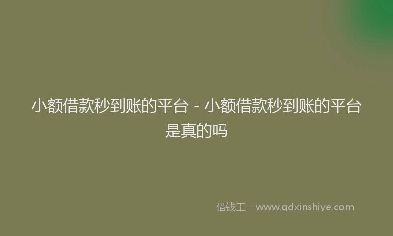小额借款秒到账的平台 - 小额借款秒到账的平台是真的吗