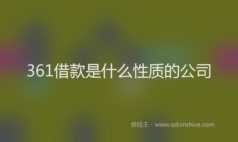361借款是什么性质的公司