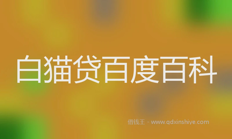 白猫贷百度百科