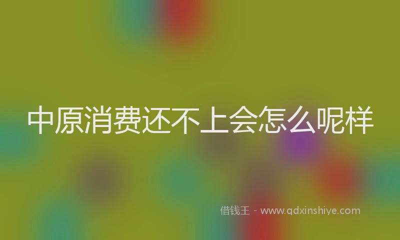 中原消费还不上会怎么呢样
