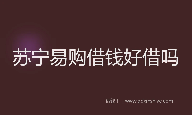 苏宁易购借钱好借吗