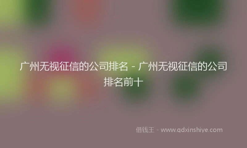 广州无视征信的公司排名 - 广州无视征信的公司排名前十