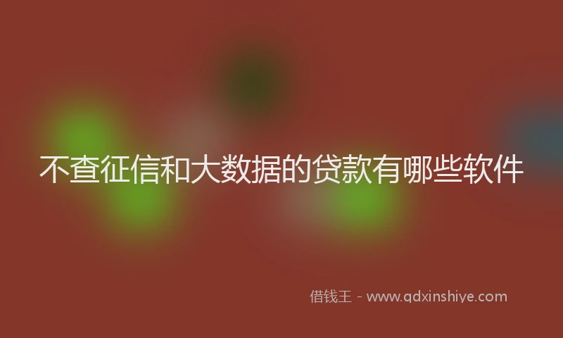 不查征信和大数据的贷款有哪些软件