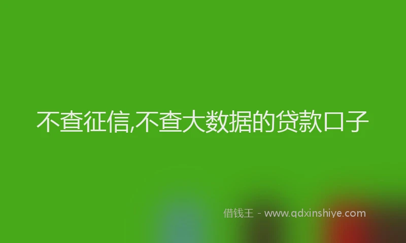 不查征信,不查大数据的贷款口子