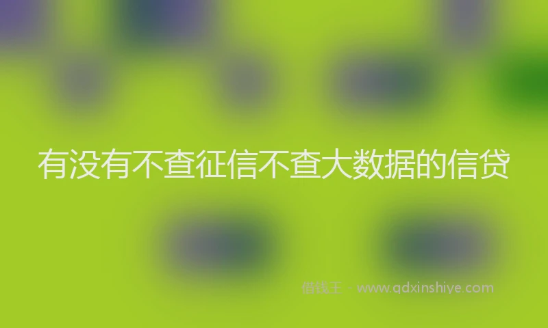 有没有不查征信不查大数据的信贷
