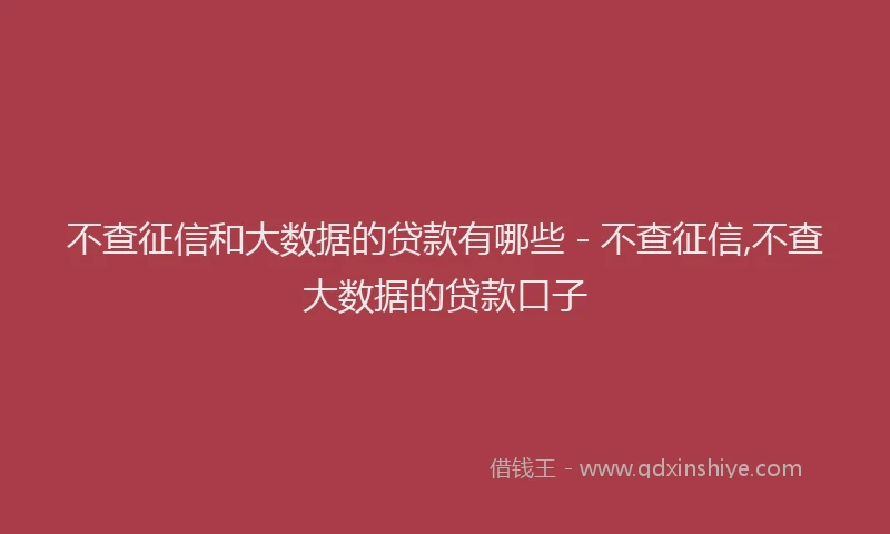 不查征信和大数据的贷款有哪些 - 不查征信,不查大数据的贷款口子