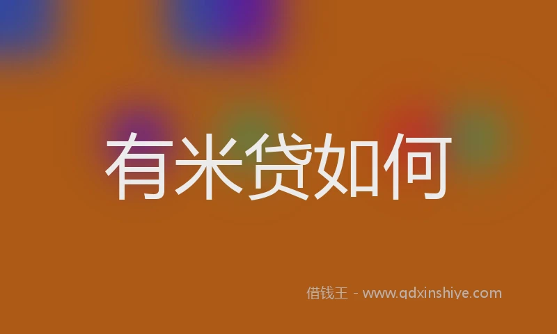 有米贷如何