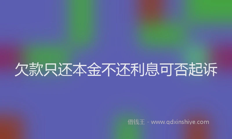 欠款只还本金不还利息可否起诉