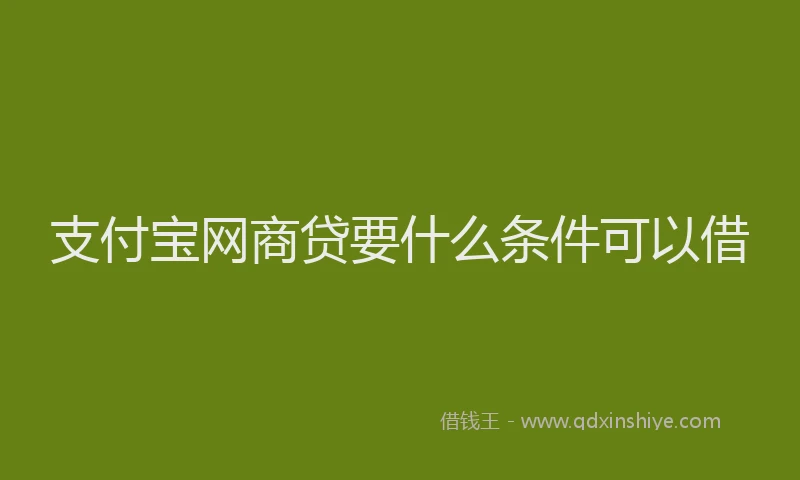 支付宝网商贷要什么条件可以借