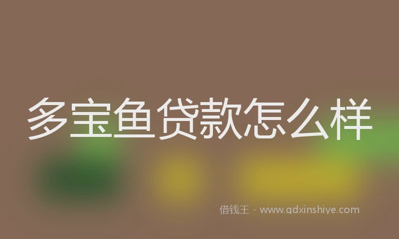 多宝鱼贷款怎么样